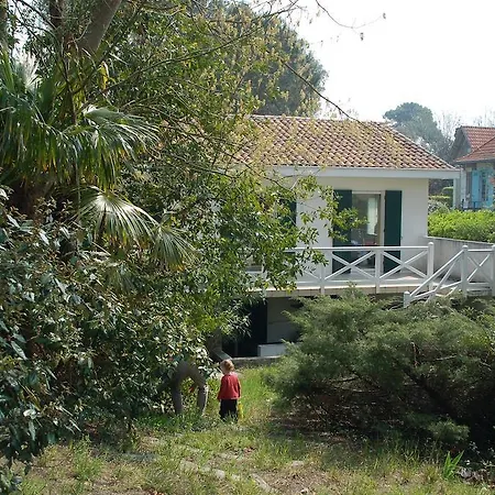 Surprise Αρασόν