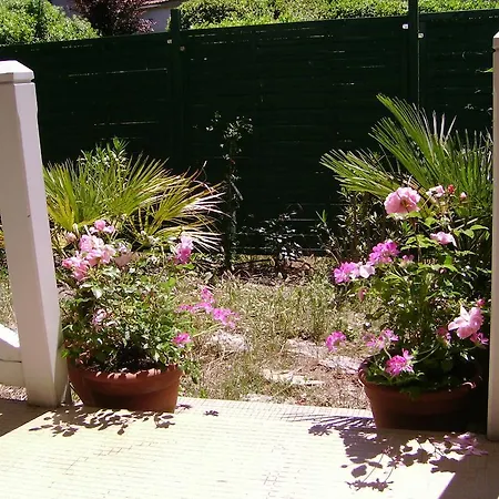 Βίλα Surprise Αρασόν